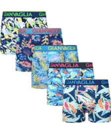Gianvaglia Hawaii