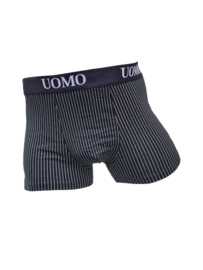 UOMO classic stripes