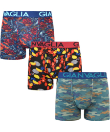 Gianvaglia Print mix