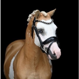 HB Showtime Evalira goud pony