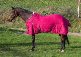Staldeken Highliner 200gr  195 cm