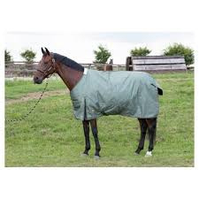 Harry horse thor 200 gr 195 cm