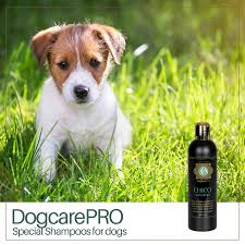 CHICO premium Shampoo voor de gevoelige huid en puppy's