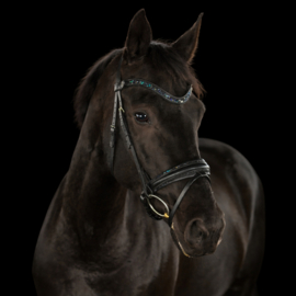 SD® Bridle Black/Navy full