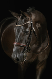 MRS ROS DELUXE DOUBLE BRIDLE KNIGHT POWER full