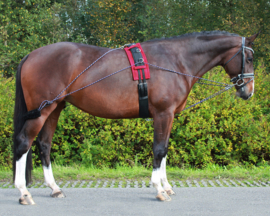 Longeerhulp teugel full