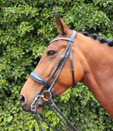 HB Showtime Stang en trens hoofdstel Great Pleasure lak PONY