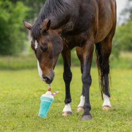 Paardenspeelgoed milkshake