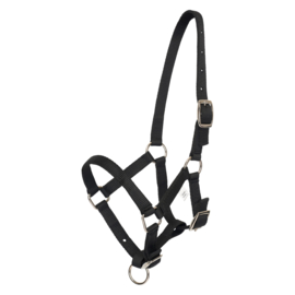 Halster veulen HVPNena black