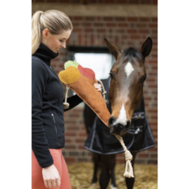 Paardenspeeltje -Ice cream-