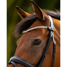 HARRY'S HORSE Frontriem Carat full