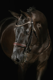 Mrs Ros Teugelset stang en trens leder FS bruin