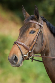 HFI hoofdstel comfort pony