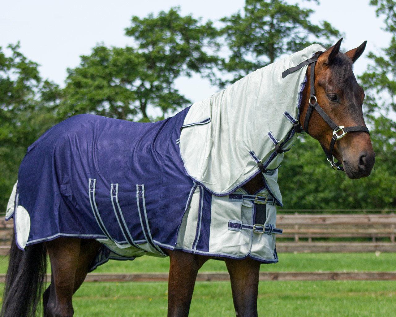 Deken vliegen nek+hoed Blauw