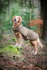 CATAGO FIR-Tech gewatteerde hondendeken  35 cm