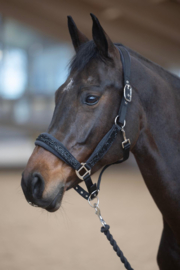 Horse Guard Angel glitter halter black