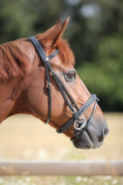 Lj new fancy cob