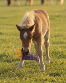 Paardenspeelgoed friet