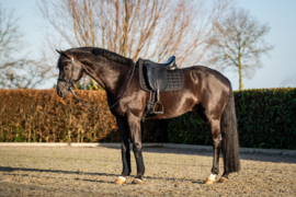Showtime Zadeldek Glitty NAVY