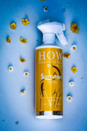 HOW Summer Pearl Spray /500ml