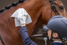 Horse Wipes Natural Clean