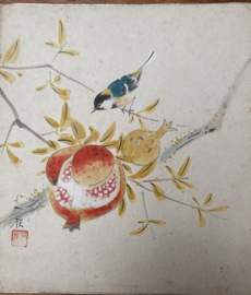 Japanse penseeltekening "Bird with pomegranate " Taïsho periode ± 1930
