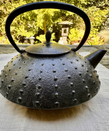 Antieke Japanse thee / waterketel "Tetsubin"
