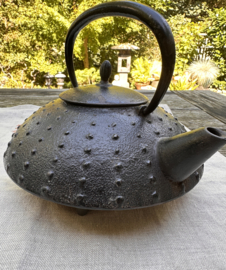 Antieke Japanse thee / waterketel "Tetsubin"