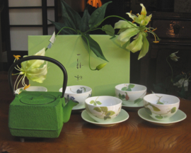 Japanse theepot van gietijzer inclusief theezeefje "Mosgroen" apart vierkant model
