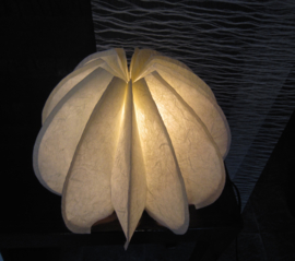 Lamp "Lotus " in WASHI-papier  2 verschillende transformaties te vouwen.