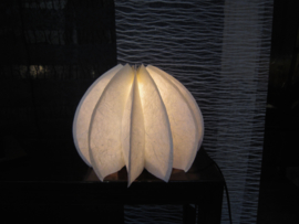 Lamp "Lotus Japonais"  2 verschillende transformaties
