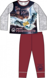Harry Potter pyjama Here Comes A Letter From Hogswarts mt. 116
