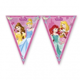 Disney Princess Dreaming vlaggenlijn 2,3 mtr.