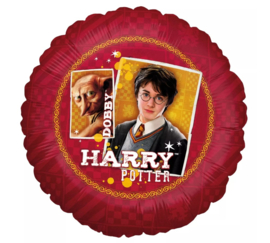 Harry Potter folieballon Portrait Harry en Dobby ø 45 cm.