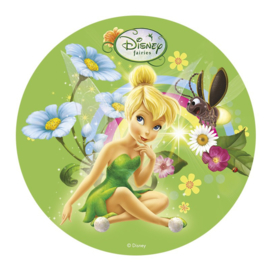 Disney Tinkerbell taart decoratie