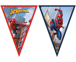 Spiderman vlaggenlijn Crime Fighter 2,3 mtr.