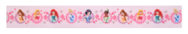 Disney Princess  taart lint 1 mtr.