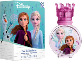 Disney Frozen cadeau artikelen