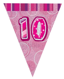 Vlaggenlijn pink glitter 10 jaar 2,74 mtr.