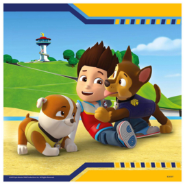 Paw Patrol puzzel Helden met Vacht 3 x 49 stukjes