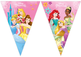Disney Princess vlaggenlijn Live Your Story 2,3 mtr.