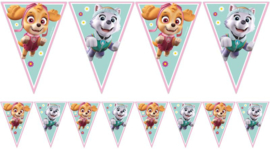 Paw Patrol Skye en Everest vlaggenlijn 2,3 mtr.