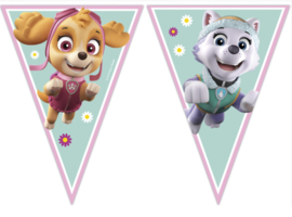 Paw Patrol Skye en Everest vlaggenlijn 2,3 mtr.