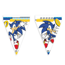 Sonic vlaggenlijn 3 mtr.