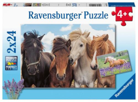 Paarden puzzel paardenliefde 2 x 24 stukjes