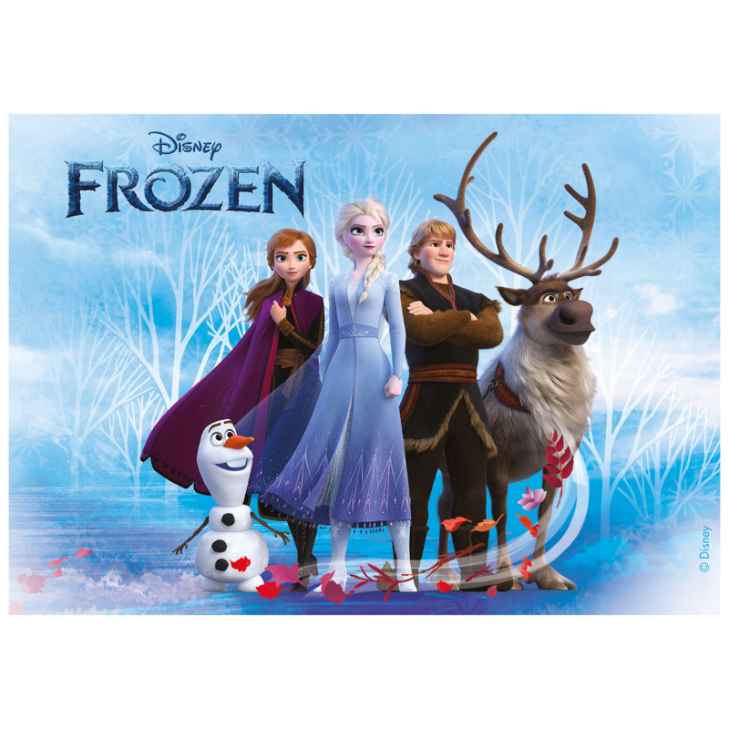 Brig in de rij gaan staan Voorouder Disney Frozen eetbare taart decoratie 14,8 x 21 cm. | Disney Frozen taart  en cupcake decoratie | Magic Moments For Kids