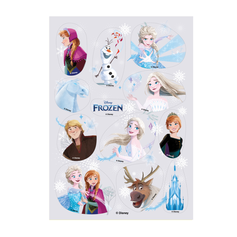 Verhoogd portemonnee Onderscheppen Disney Frozen 2 feestartikelen kopen? Ruim aanbod in onze webshop