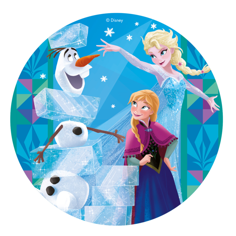 neutrale Bungalow expositie Disney Frozen feestartikelen | Magic Moments For Kids