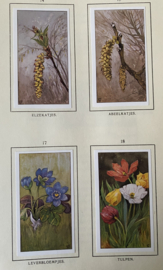 Verkade boek “Lente”