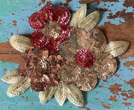 Grote pailletten applicatie